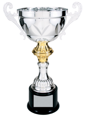 Free Engraving 8" Gold & Silver Cup Trophy Award 
