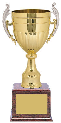 FOOTBALL TROPHY GOLD & SILVER PLASTIC CUP FREE ENGRAVING P021 