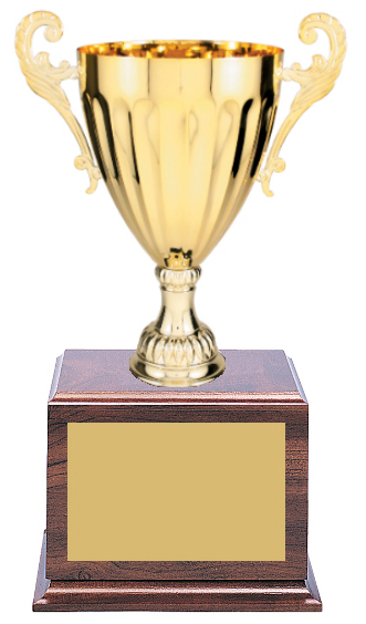 Black Wood Trophy Base - 4 Tier - Trophies and Awards with Expert Engraving  and Imprinting