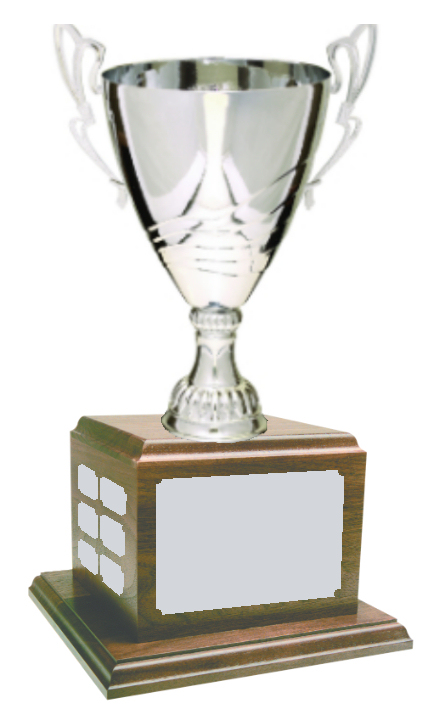 Perpetual Metal Silver Trophy Cup
