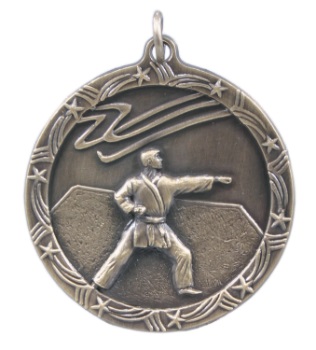 Karate Shooting Stars Medal