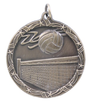 Volleyball Shooting Stars medal