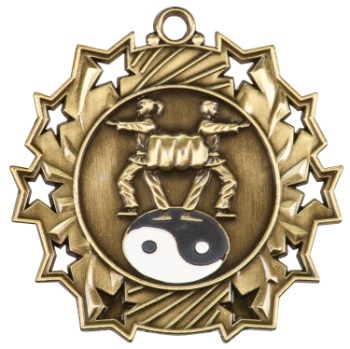 Karate Ten Star Medal