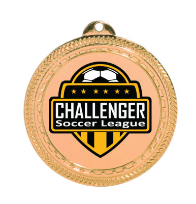 Custom Bright Bronze Medal with Imprinted Insert