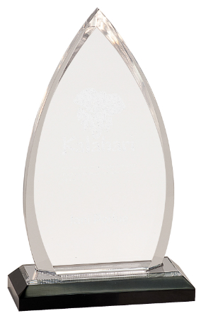 Silver Pointed Oval Acrylic