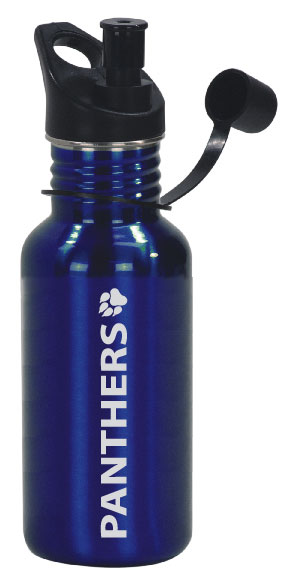 Stainless Steel Water Bottle - Blue