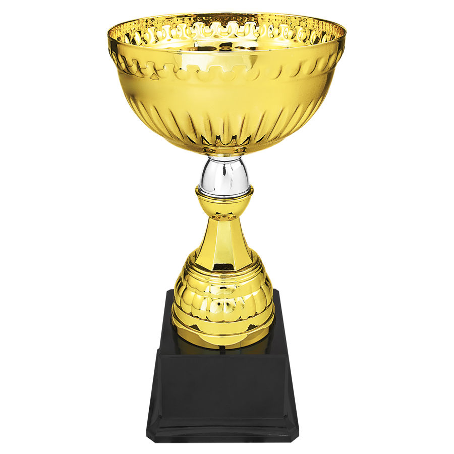 TROPHY CUP AWARD 3 SIZES AVAILABLE ENGRAVED FREE MINI BERNE GOLD TROPHIES CUPS 