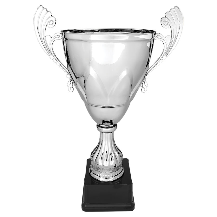 Silver Metal Trophy Cup on Weighted Base