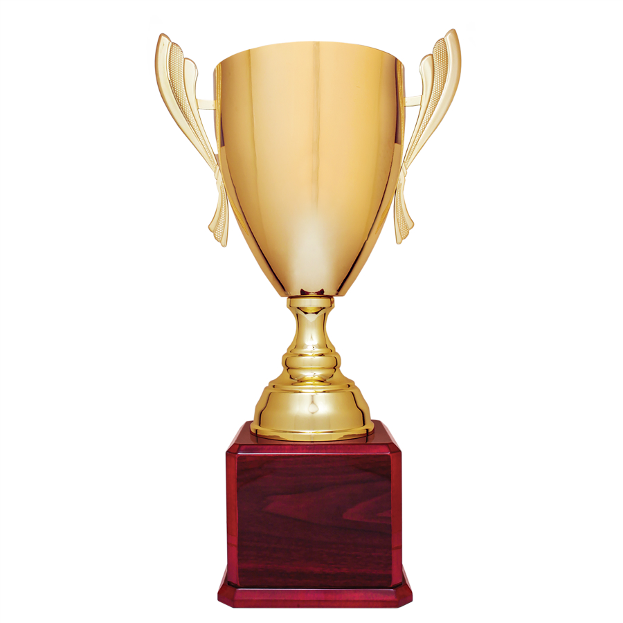 Gold Trophy Cup on Rosewood Base
