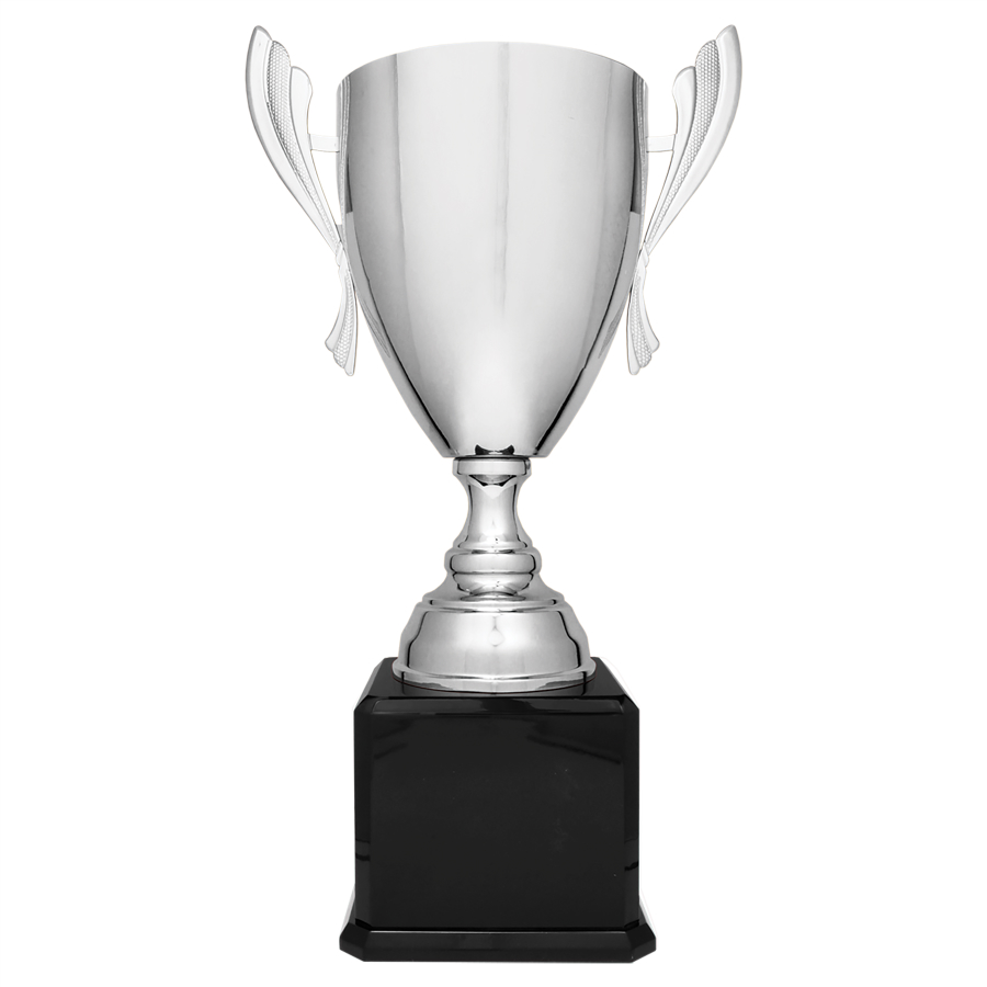 Silver Metal Trophy Cup on Black Base