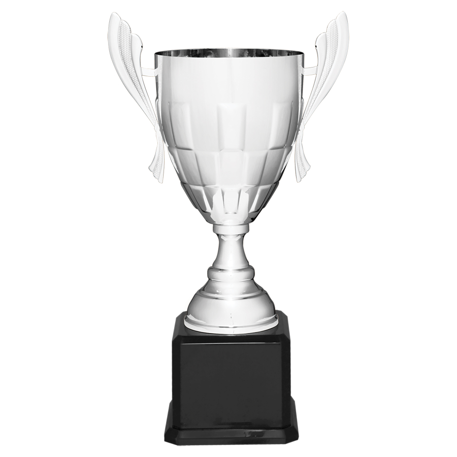Silver Metal Trophy Cup on Black Base