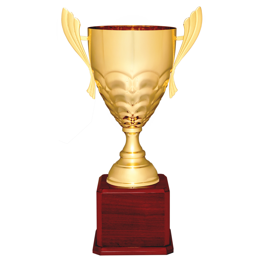 Gold Trophy Cup on Rosewood Base