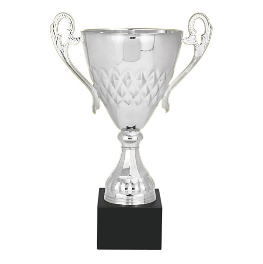 Silver Metal Cup on Black Marble Base