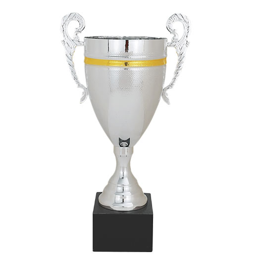 Silver/Gold Metal Cup on Black Marble Base