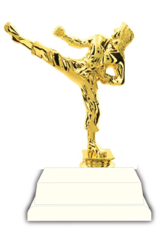 Martial Arts Trophy