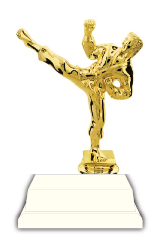 Martial Arts Trophy