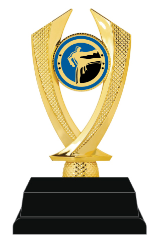 Martial Arts Trophy