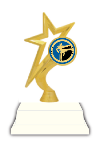 Martial Arts Trophy