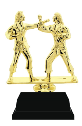Martial Arts Trophy