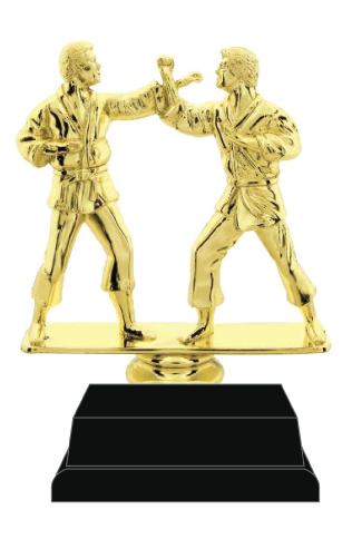 Martial Arts Trophy