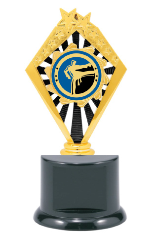 Martial Arts Trophy