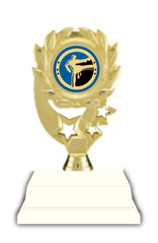Martial Arts Trophy