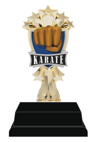 Martial Arts Trophy