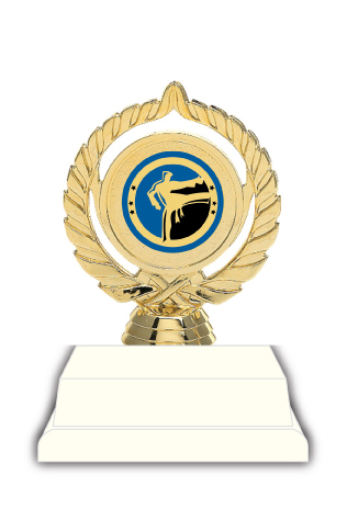 Martial Arts Trophy
