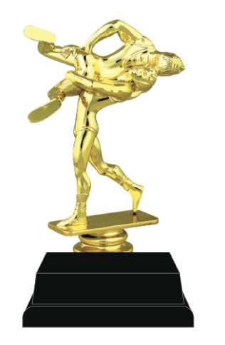 Wrestling Trophy